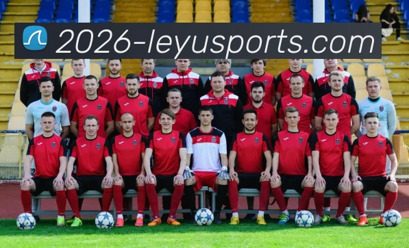 乐鱼官网发展历程